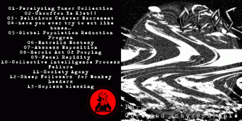 Castle Full Of Shit : Purulent Abscess, Pus, Gore and Schyzophrenia